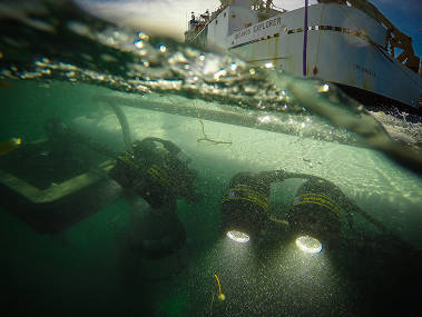 A close up of a grenadier investigating ROV Deep Discoverer.