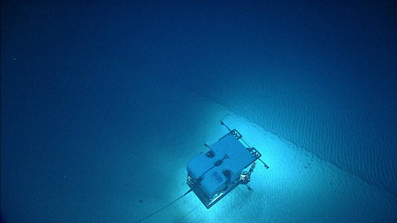 ROV <em>Deep Discoverer</em> imaging a series of rippled bedforms.