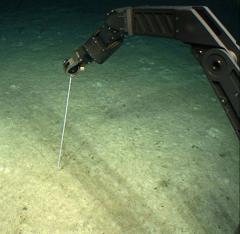 Measuring the thickness the muddy ooze using the sea poke during Dive 10 southeast of St. Croix. 