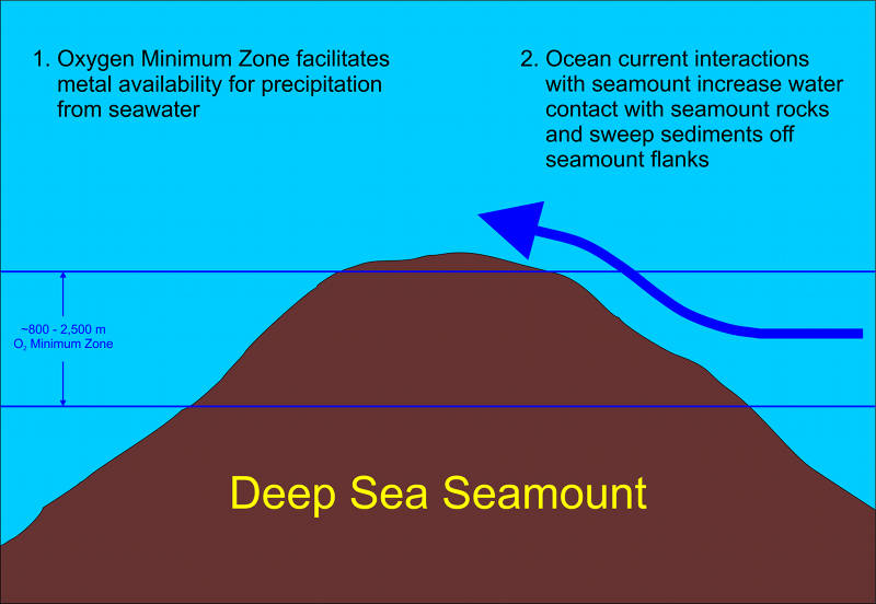 Figure 2. Geologists surmise the thickest and most metal-rich ferromanganese crusts are found at depths between 800 and 2500m on seamount flanks and summits. This is due to the co-occurrence of more chemically available metal sources caused by the OMZ, higher flows of water over the rocks where the deposits form, and stronger currents that can remove sediments.