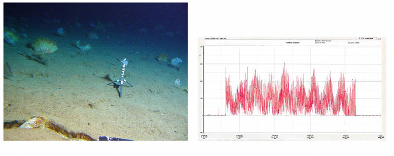 Figure 2. Photo: Flow meter with thermograph. Graph: Counts of impellor rotations showing tidal fluctuations in passing water flow over 3 months.