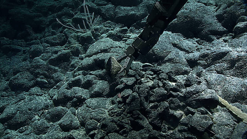 ROV, Deep Discoverer, reaches for a rock sample.