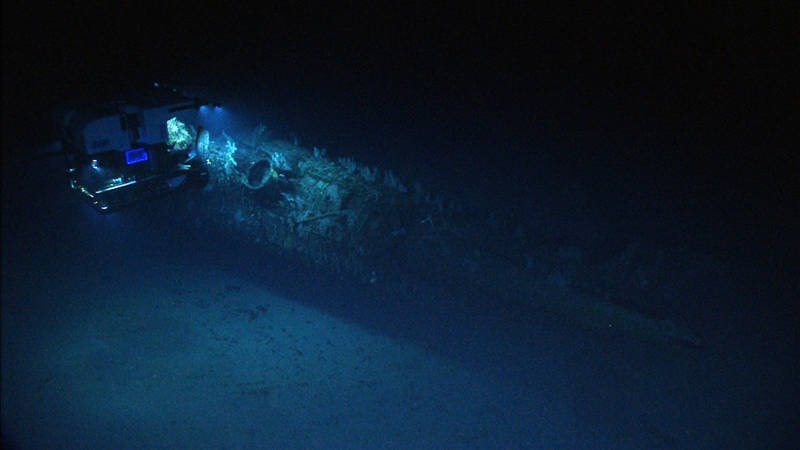 A dive during Leg 3 of the expedition visited the S-19 submarine to assess the state of the submarine and survey the settlement of a pioneer coral community covering the sub.
