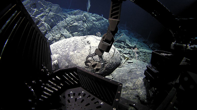 D2 collects a rock on an unnamed seamount 180 nautical miles south of Midway Island.