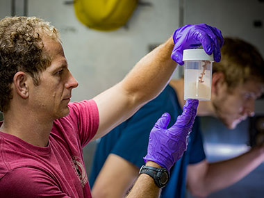 Expedition Science Leads Daniel Wagner (foreground) and Jonathan Tree (background) use the transit days to take a final look at the samples we collected before the samples are packaged up to be sent to their repositories.