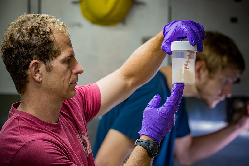 Expedition Science Leads Daniel Wagner (foreground) and Jonathan Tree (background) use the transit days to take a final look at the samples we collected before the samples are packaged up to be sent to their repositories.