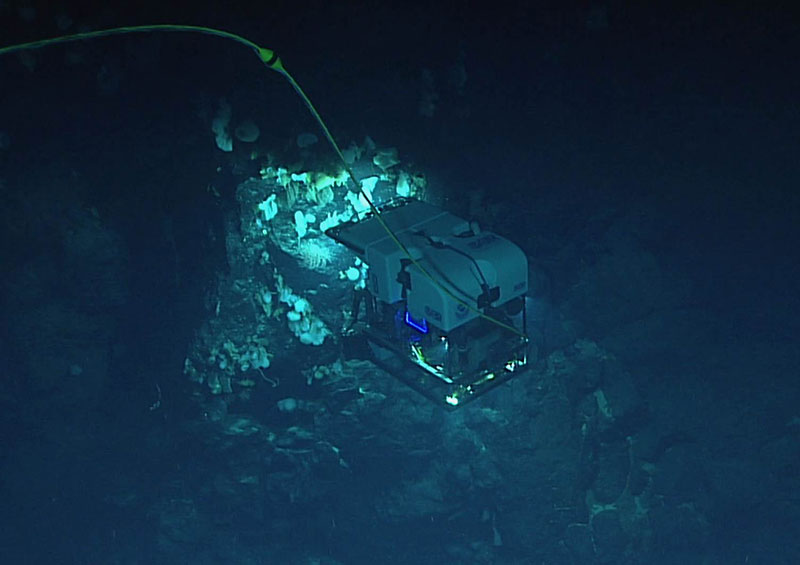 ROV Deep Discoverer imaging a high-density community that included several species that are likely new to science during the 2016 expedition to the Monument.