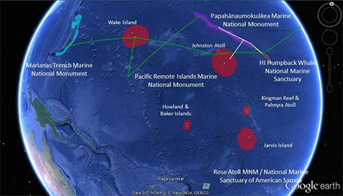Map showing the completed 2015 operating areas (white lines), and planned operating areas (green lines) for the 2016 Campaign to Address Pacific monument Science, Technology and Ocean NEeds. 