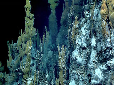 Hydrothermal-vent chimney. In the center of the photo, you can see the vent fluid which appears like dark smoke due to the high levels of minerals and sulfides contained in the fluid. Look closely, and you will also see the chimney is crawling with Chorocaris shrimp and Austinograea wiliamsi crabs.