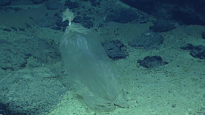 Plastic debris – a plastic bag at 3,767 meters (2.34 miles) depth on Enigma Seamount off the Mariana Islands.