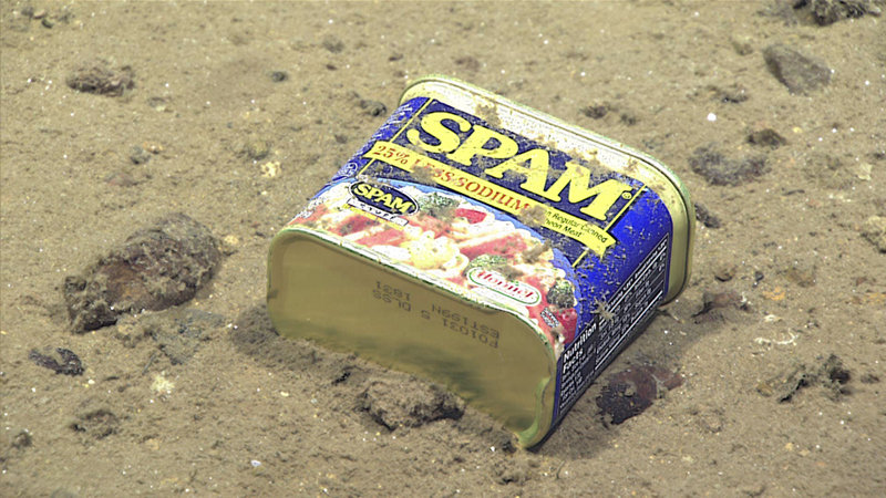 Metal debris – a food tin found at 4,947 meters (3.07 miles) depth in Sirena Canyon off the Mariana Islands.