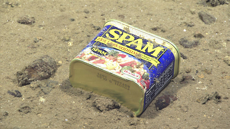 A food container, seen resting at 4,947 meters on the slopes of a canyon leading to the Sirena Deep.