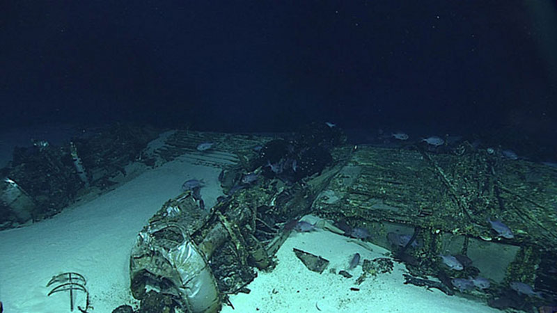 This site is one of many aircraft lost in the vicinity of Tinian and Saipan. The B-29 Superfortress, one of the largest aircraft flown by the United States in World War II, had a wingspan measuring just over 141 feet. The wing came to rest on the sea floor upside down with the landing gear and three of the radial engines still attached.