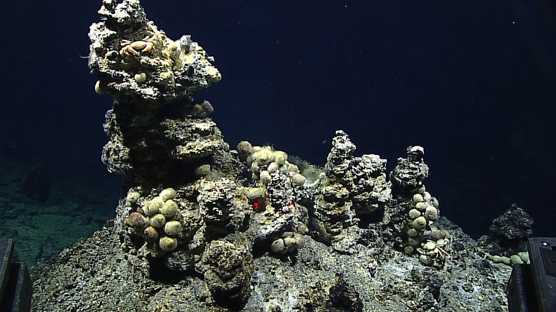 An image of a hydrothermal vent.