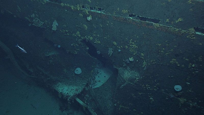 Considerable damage seen on the hull of the Amakasu Maru No.1 may be due to torpedoes fired by the American submarine, USS Triton.