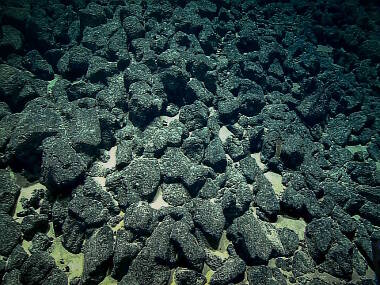 Ferromanganese nodules fill the field of view. The center of each nodule may host a basaltic rock, sediment, or even a fossil.