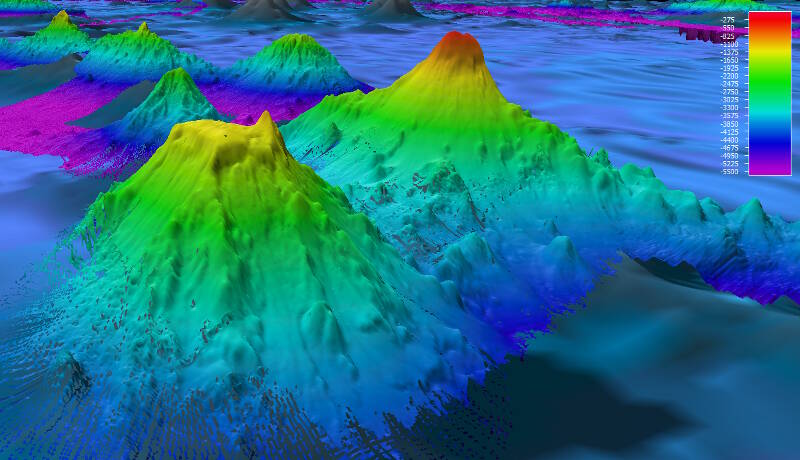 Multibeam bathymetry of Pao Pao Seamount (background) and an unnamed guyot (foreground) shows one example of nearby seamounts with very different geomorphology. Pao Pao Seamount comes to a very sharp peak at around 300 meters and shows steep flanks while the unnamed feature has a distinct flat top. Biological communities we find on these features may differ greatly at similar depth intervals despite being only 25 kilometers distant from each other.