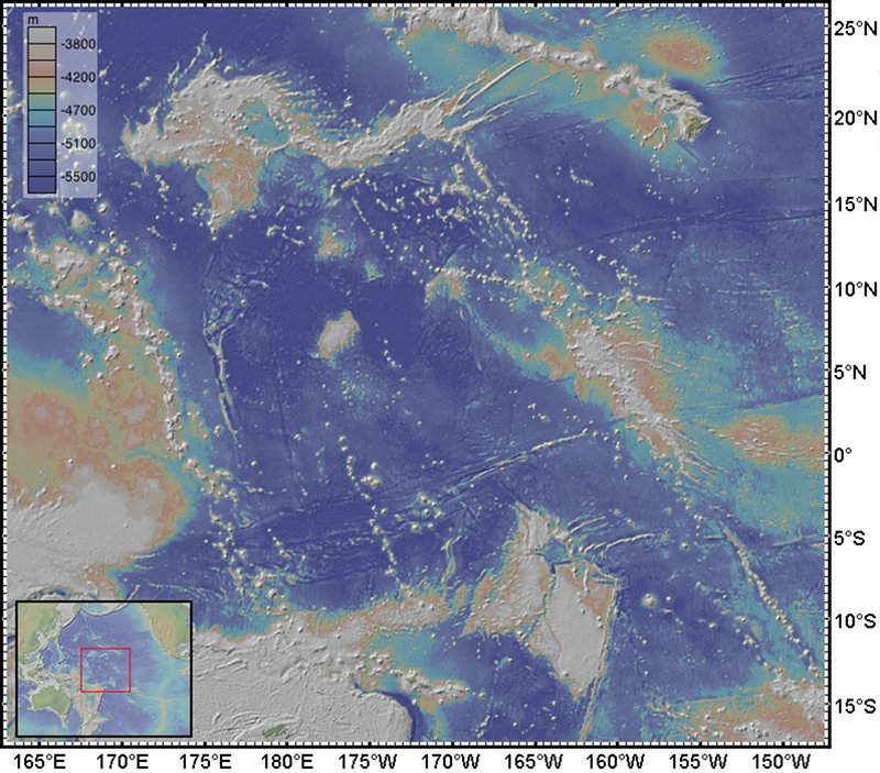 Seamounts of the Deep Central Pacific Basin: A Biological Unknown