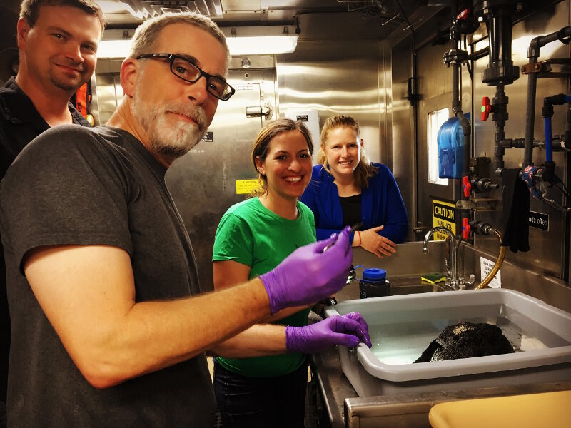 The Science Team prepares a sample in the wet lab aboard NOAA Ship Okeanos Explorer. This manganese-crusted rock was collected on Dive 02 of Mountains in the Deep: Exploring the Central Pacific Basin.