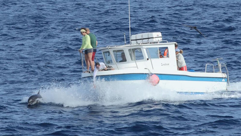 During the early planning stage of the expedition, we received a request to help resupply the field station at Palmyra Atoll, as supplies are hard to come by on this remote atoll. Pictured here was an exciting encounter with a dolphin during our small boat transfer of supplies.