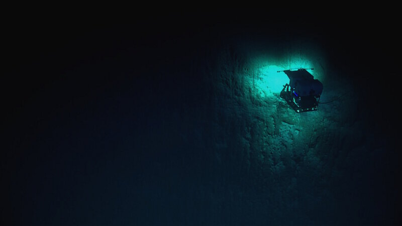 April 30: What is the Deep Sea?