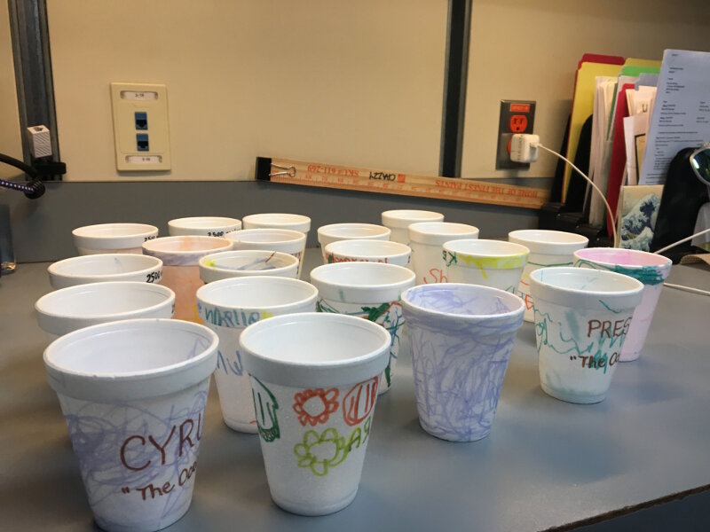 Stryofoam cups designed by the children E Malama I Na Keiki O Lanai Pre School in Lanai City, Hawaii, before being sent down to a depth of 2,500 meters during the second dive of this expedition. 