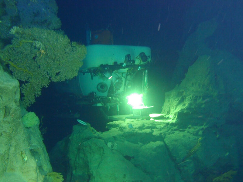 The slopes of Jarvis Island, Palmyra Atoll, and Kingman Reef were first surveyed in 2005 by the University of Hawaiʻi and NOAA's Hawaiʻi Undersea Research Laboratory's <em>Pisces IV</em> and <em>V</em> submersibles.