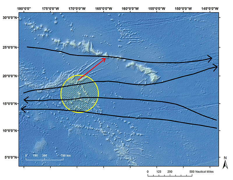 Potential dispersal routes connecting Johnston Atoll to the Hawaiian Archipelago. Black arrows are major current flow patterns and the red arrow is directly below Necker Ridge that could be serving as a seafloor bridge.