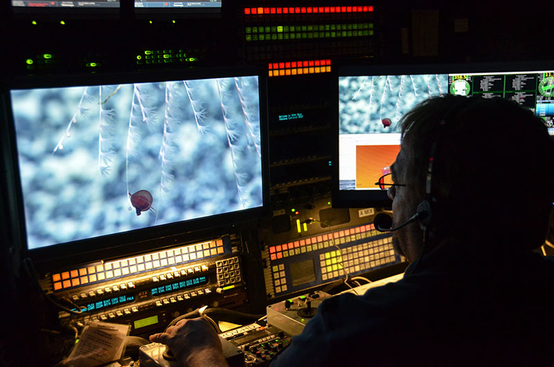 Global Foundation for Ocean Exploration Video Engineer Roland Brian adjusts the zoom, focus, and lighting on remotely operated vehicle Deep Discoverer’s main HD camera to obtain the best shot of a tiny jellyfish.