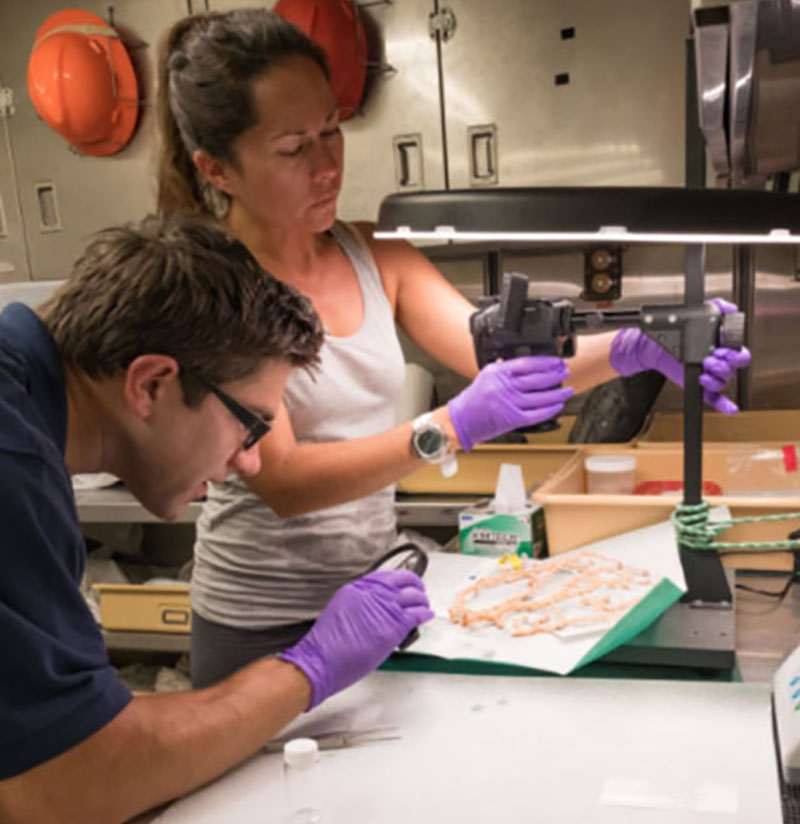 NOAA EPP Intern, Nikola Rodriguez, and NOAA's National Centers for Environmental Information Data Manager, Matt Dornback, process biological specimens collected during an ROV dive.