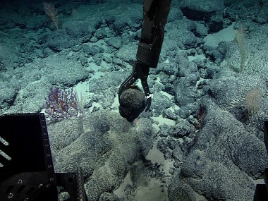 Rock samples collected during today’s dive, as well as every other dive, will be used to better understand the age and geologic history of this complex region.