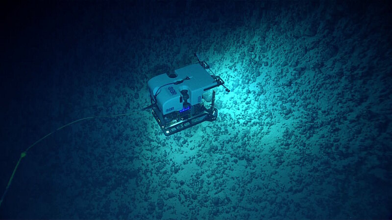 ROV Deep Discoverer explores talus slope on Verdi Seamount.
