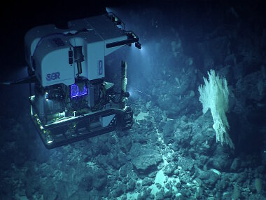 ROV Deep Discoverer documents the benthic communities at Paganini Seamount, capturing high resolution imagery that can be used by scientists to identify organisms and build a baseline characterization of what these habitats look like.
