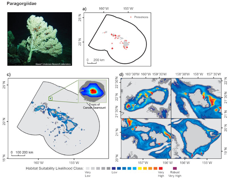 Example of a habitat suitability model for deep-sea corals in the family Paragorgiidae (pictured top left) in the Main Hawaiian Islands Exclusive Economic Zone. a) Red crosses represent observations of Paragorgiidae used to generate the model. c) Inset depicting the Tropic of Cancer Seamount. The black line denotes the ROV trackline. Warm colors (e.g., red) denote areas predicted to be more likely to contain suitable coral habitat and cooler coolers (e.g., blue) denote areas predicted to be less likely to contain suitable coral habitat.