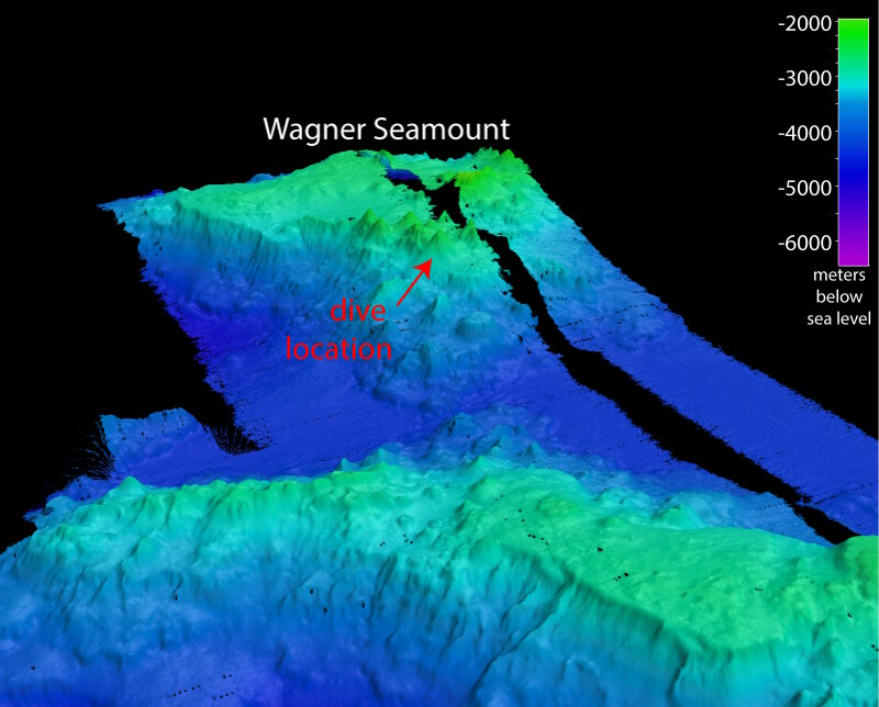 Map of Wagner Seamount showing the location of our remotely operated vehicle dive.
