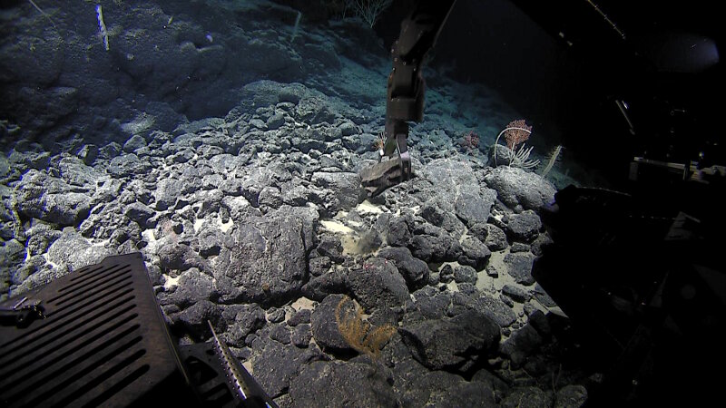 Rock samples can tell us a lot about the geologic origin of the seamount or ridge they were collected from and can help us figure out how a feature fits in with the puzzle of the Musicians Seamounts. We can also use information about rock age and composition to see how this region fits with the rest of the seafloor of the Pacific.