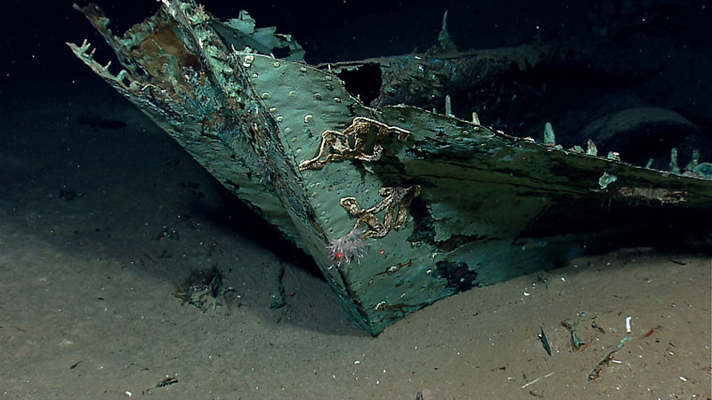 The bow of a ship discovered by Okeanos Explorer in 2012 believed to be a privateer.