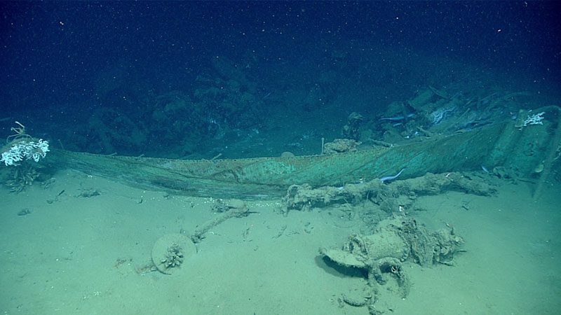 First view of the wreck’s bow outlined by the remnant copper sheathing, with one hawse pipe in foreground and another just aft of the stempost at right. Also visible are white colonies of the stony coral Lophelia pertusa (on the stempost and at far left) and numerous duckbill eels.