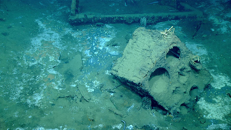 Ship’s stove, found amidships, is a likely home for two spider crabs, Rochinia crassa.