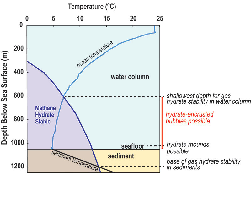 Methane hydrate is stable to the left of the purple curve on this temperature-depth plot. Each 100-meter (328-foot) increase in water depth corresponds to a pressure increase of approximately 10 megapascals (98 atmospheres). The blue curve shows the ocean temperatures measured by the conductivity-temperature-depth (CTD) sensor on remotely operated vehicle Deep Discoverer. The sediment temperatures are estimated based on a study that examined nearby well data. Gas hydrate is stable at the seafloor, in the shallow sediments, and from the seafloor to approximately 600 meters (1,967 feet) depth in the water column. Such conditions are typical for the deep ocean, but the Gulf of Mexico leaks such large volumes of gas that near-seafloor gas hydrate is more common there than in most locations.