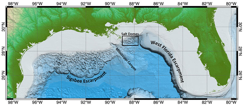 Figure 2: Bathymetric map of the northern Gulf of Mexico with the location of the Sigsbee Escarpment, West Florida Escarpment, Mississippi Canyon, and salt domes indicated.