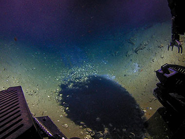 ROV Deep Discoverer observed a small (1.2 meter diameter) brine pool at 1,067 meters (3,500 feet) depth.