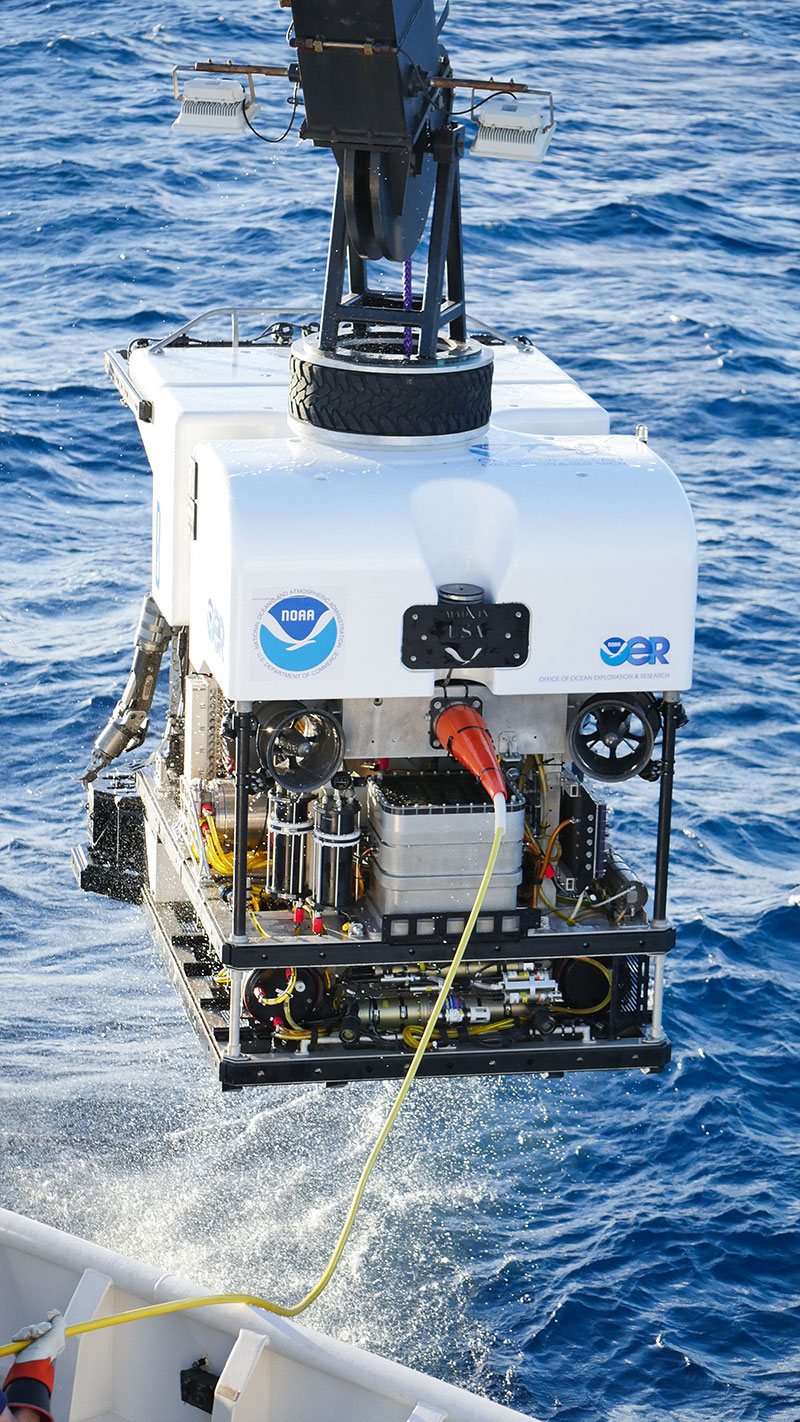 ROV Deep Discoverer in the Gulf of Mexico.