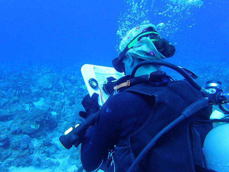 LT Abbitt recording data during a monitoring event at the Diego grounding site in the Dry Tortugas. 