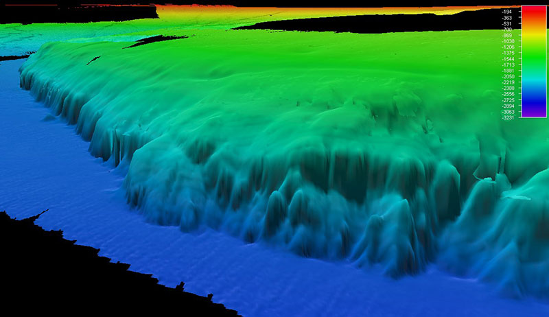 Figure 2: A perspective view of the bathymetry of the Florida Escarpment. Note the steep face of the escarpment and erosion canyons cut into it.