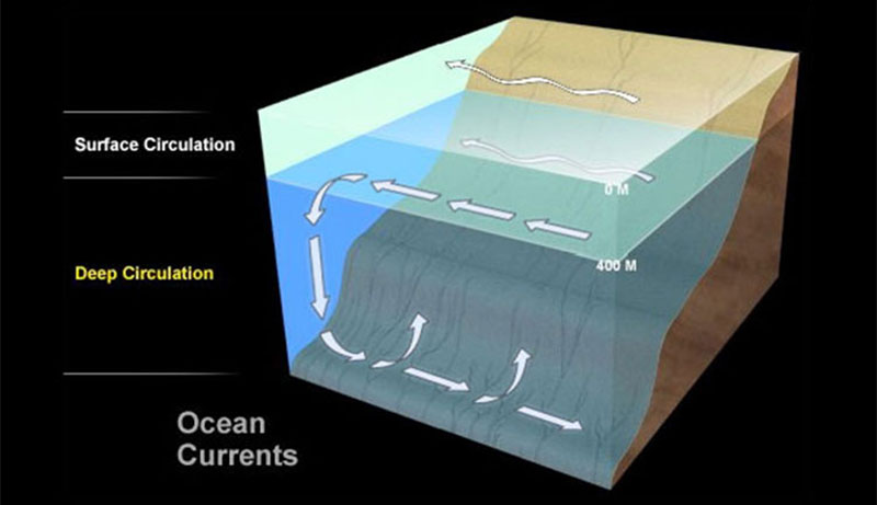 Currents are cohesive streams of seawater that circulate through the ocean. Some are short-lived and small, while others are vast flows that take centuries to complete a circuit of the globe. There are two distinct current systems in the ocean—surface circulation, which stirs a relatively thin upper layer of the sea, and deep circulation, which sweeps along the deep-sea floor.