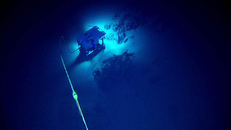 ROV Deep Discoverer, working in conjunction with Seirios and NOAA Ship Okeanos Explorer’s dynamic positioning system, is able to get in close to the seafloor to image large rock outcrops on Dive 14 of the expedition. Currents had prevented previous attempts to dive in this location.