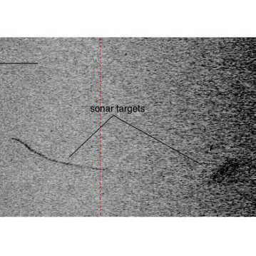 Backscatter image of the wreck surveyed during Dive 09 of the Windows to the Deep 2018 expedition. This image reveals the anchor chain on the left leading to the shipwreck on the right. Image courtesy of Cindy Van Dover and Woods Hole Oceanographic Institute.