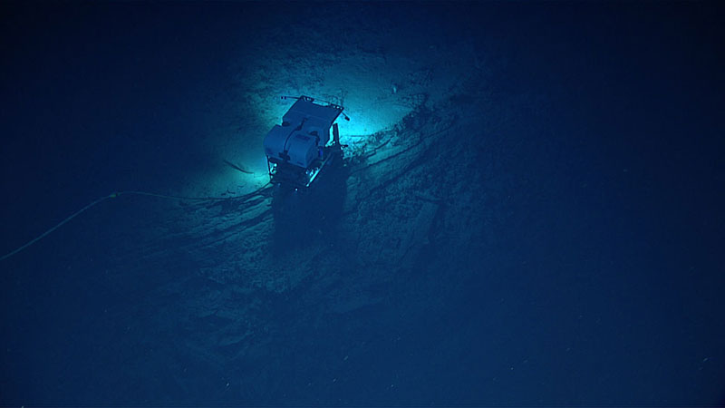 Remotely operated vehicle <em>Deep Discoverer</em>’s limited field of view on the seafloor below <em>Seirios</em> during Dive 04 of the Windows to the Deep 2018 expedition.