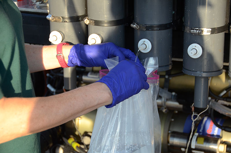 Once aboard NOAA Ship Okeanos Explorer, water collected in niskin bottles during the Windows to the Deep 2018 expedition Dive 04 is transferred to sterile containers for later eDNA processing.